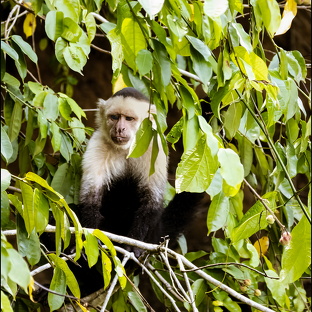 Costa Rica