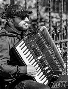 Accordion player