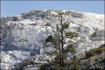 Grand Teton National Park - Sulfur Covered Hillside
